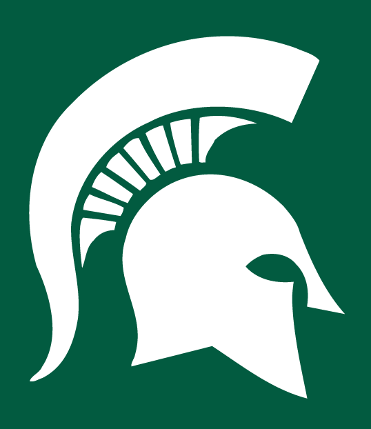 Michigan State Spartans 1977-Pres Alternate Logo diy DTF decal sticker